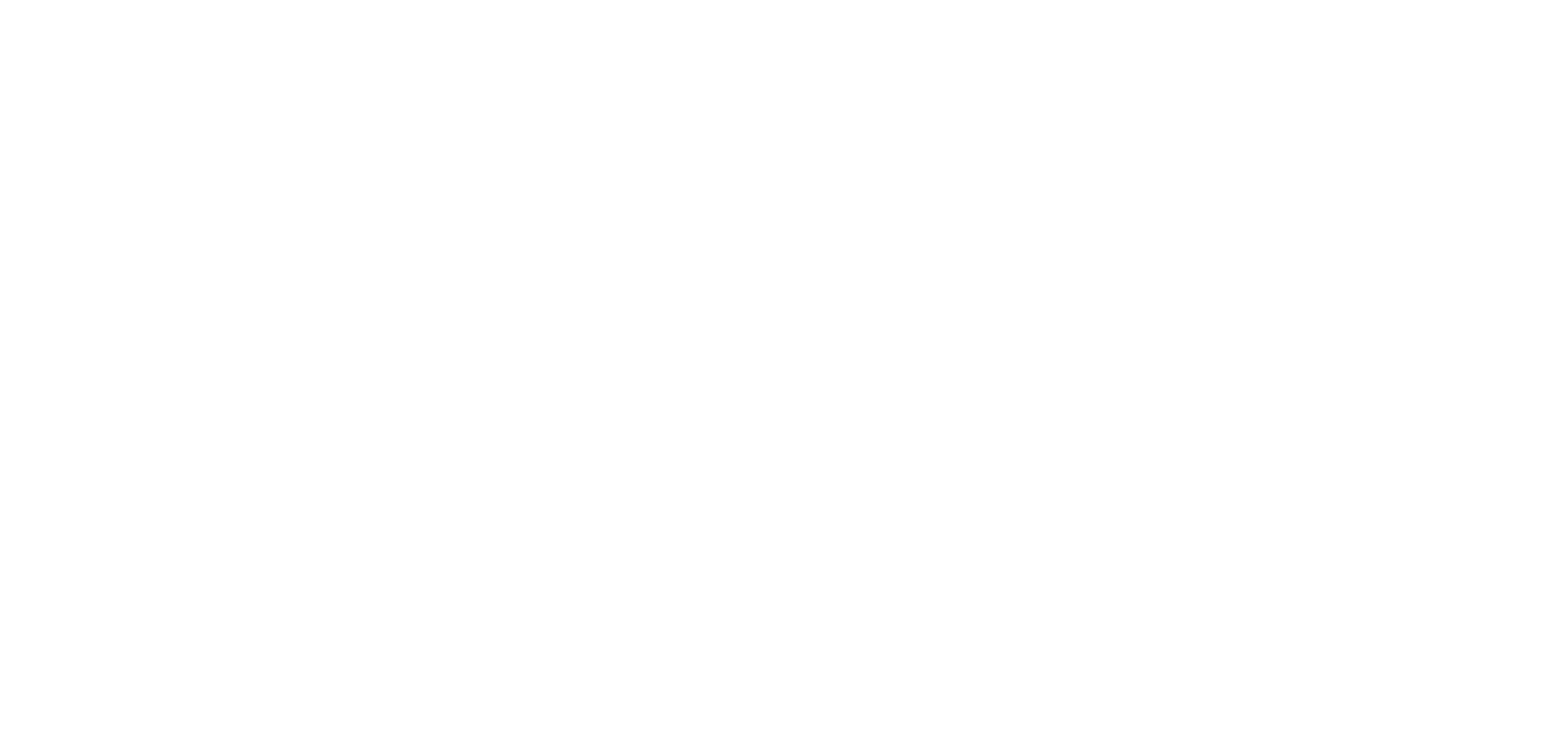 bluelight-logo-RGB_White copy